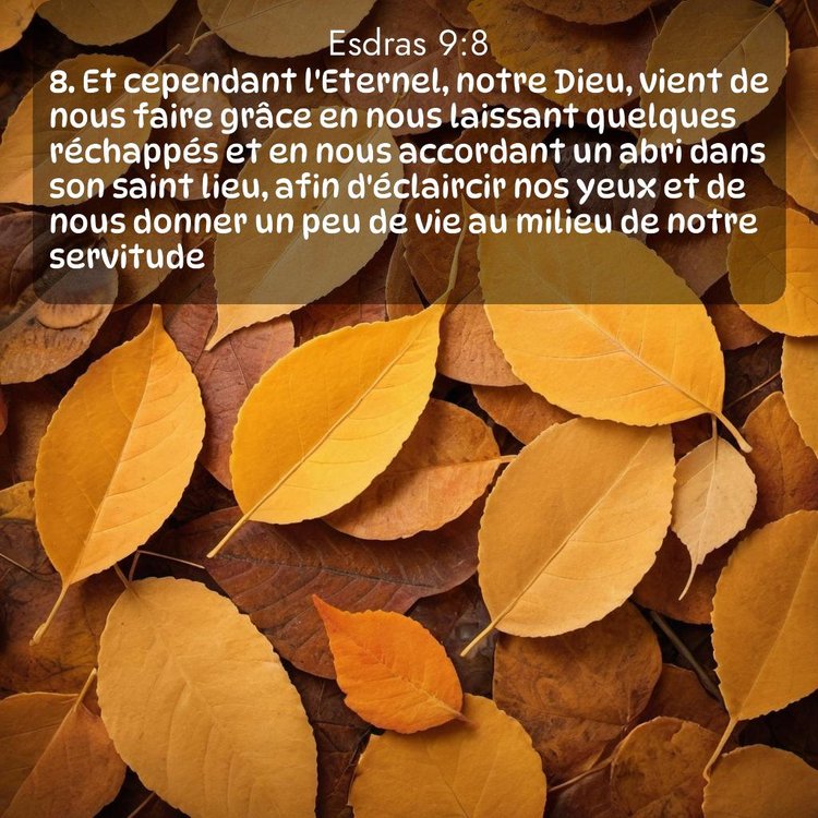 image nature avec verset biblique de la Bible