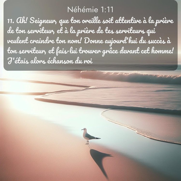 Segond Néhémie 1:11