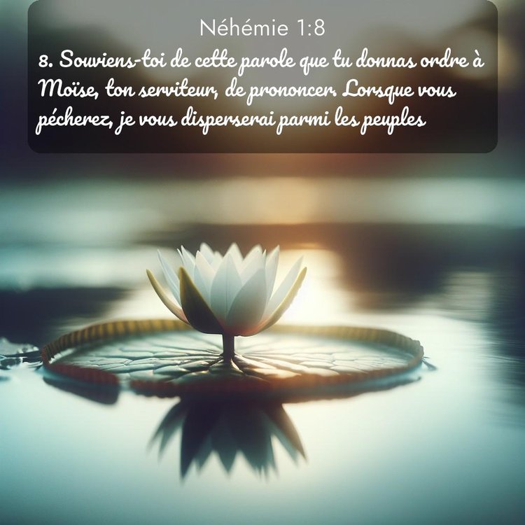 Segond Néhémie 1:8