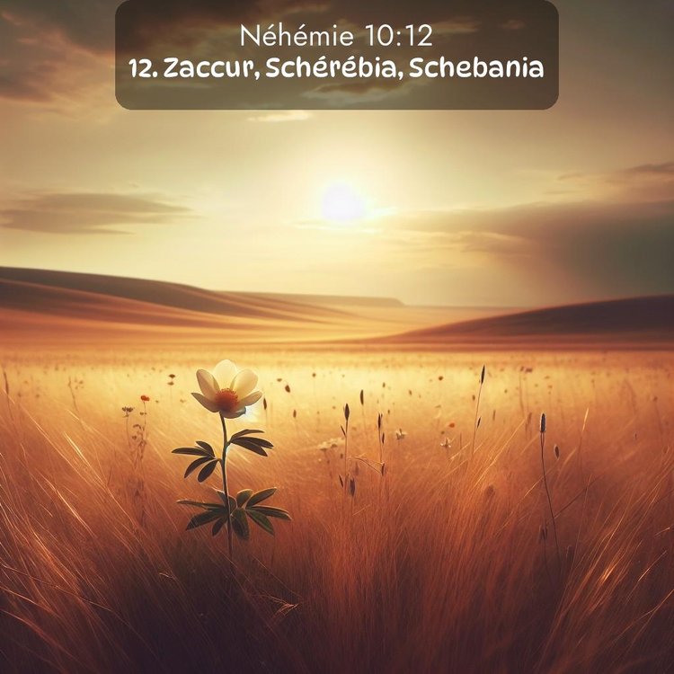 Segond Néhémie 10:12