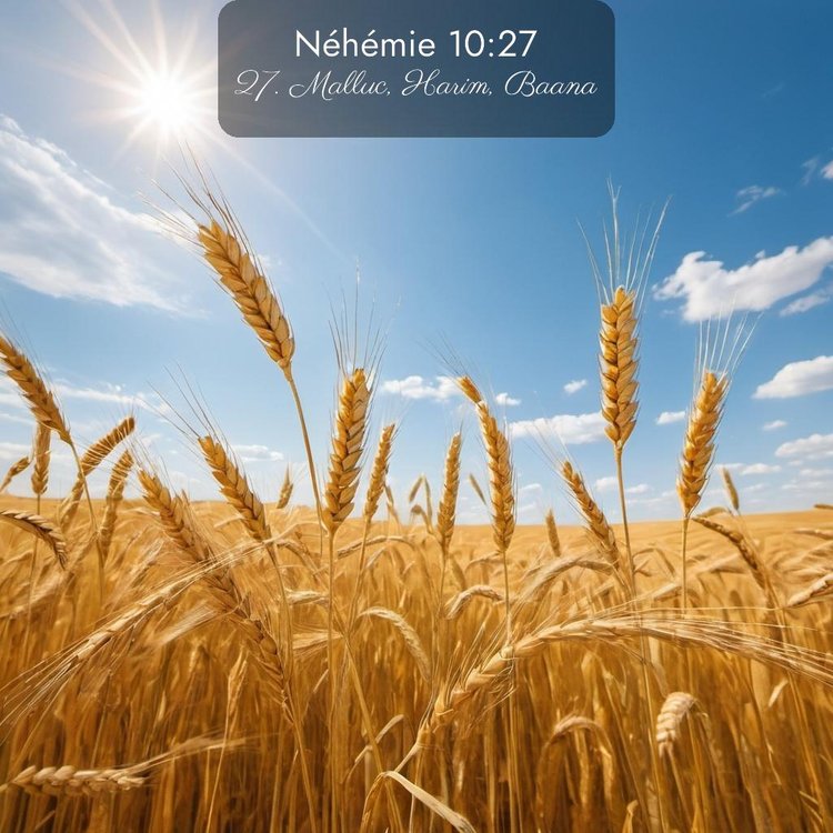 image nature avec verset biblique de la Bible
