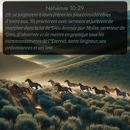 Segond Néhémie  ; image nature: image avec le verset biblique :se joignirent à leurs frères les plus considérables d&#039;entre eux. Ils promirent avec serment et jurèrent de marcher dans la loi de Dieu donnée par Moïse, serviteur de Dieu, d&#039;observer et de mettre en pratique tous les commandements de l&#039;Eternel, notre Seigneur, ses ordonnances et ses lois. ;  ; 10:29