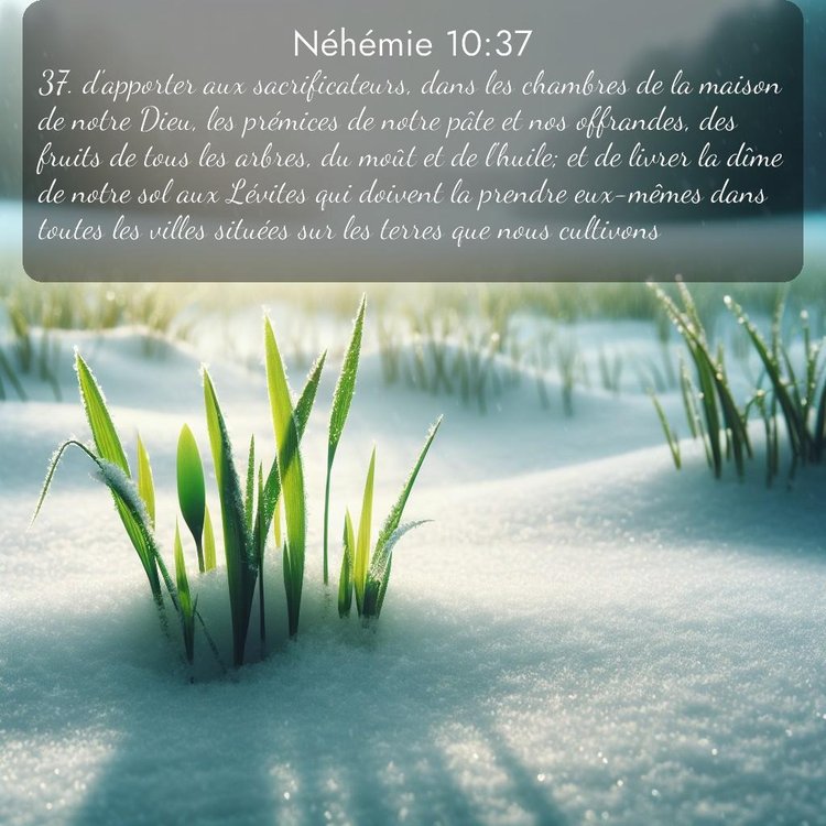 Segond Néhémie 10:37