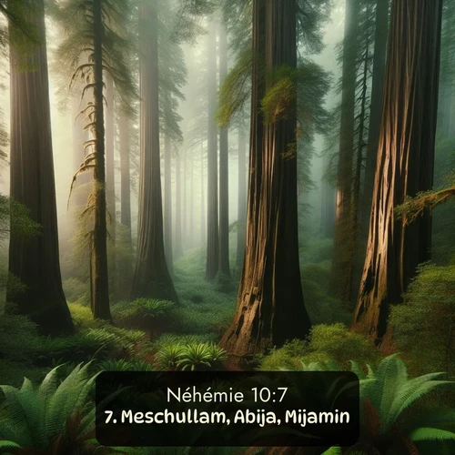Segond Néhémie  ; image nature: image avec le verset biblique :Meschullam, Abija, Mijamin, ;  ; 10:7