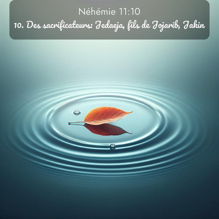 Segond Néhémie 11:10