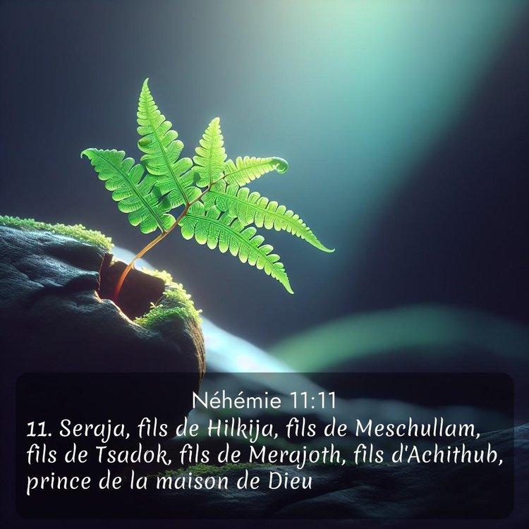 Segond Néhémie 11:11