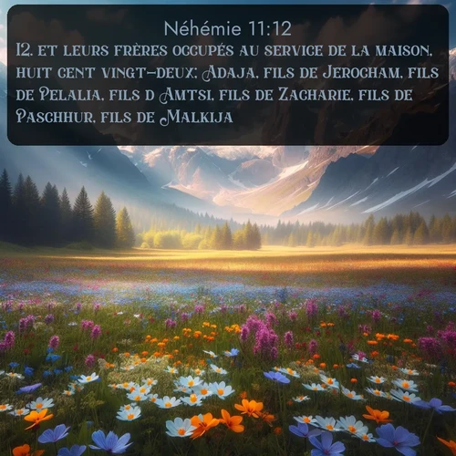 Segond Néhémie  ; image nature: image avec le verset biblique :et leurs frères occupés au service de la maison, huit cent vingt-deux; Adaja, fils de Jerocham, fils de Pelalia, fils d&#039;Amtsi, fils de Zacharie, fils de Paschhur, fils de Malkija, ;  ; 11:12