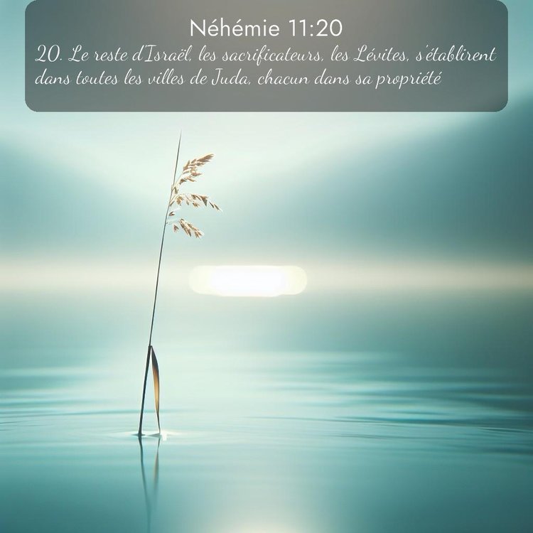 Segond Néhémie 11:20