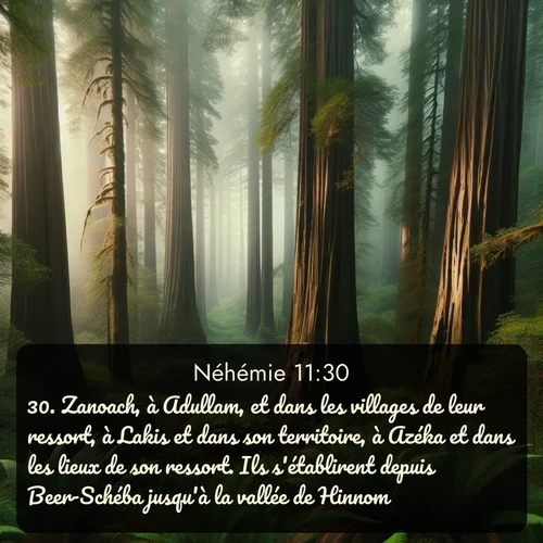 Segond Néhémie  ; image nature: image avec le verset biblique :Zanoach, à Adullam, et dans les villages de leur ressort, à Lakis et dans son territoire, à Azéka et dans les lieux de son ressort. Ils s&#039;établirent depuis Beer-Schéba jusqu&#039;à la vallée de Hinnom. ;  ; 11:30