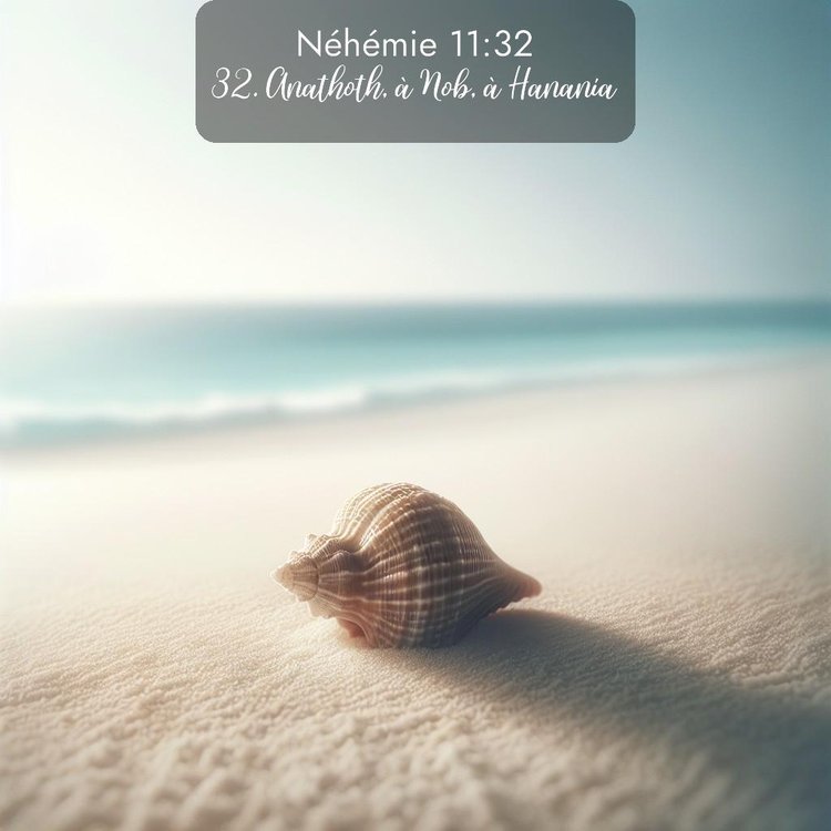 Segond Néhémie 11:32