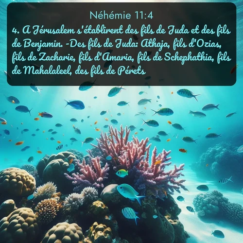 Segond Néhémie  ; image nature: image avec le verset biblique :A Jérusalem s&#039;établirent des fils de Juda et des fils de Benjamin. -Des fils de Juda: Athaja, fils d&#039;Ozias, fils de Zacharie, fils d&#039;Amaria, fils de Schephathia, fils de Mahalaleel, des fils de Pérets, ;  ; 11:4