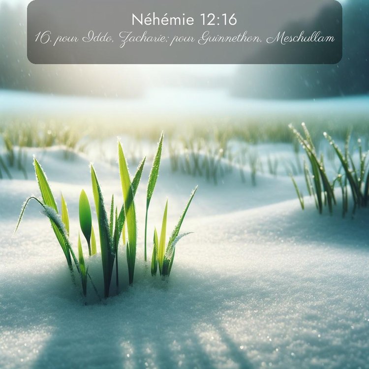 Segond Néhémie 12:16