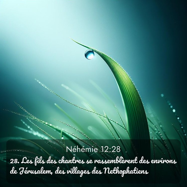 Segond Néhémie 12:28