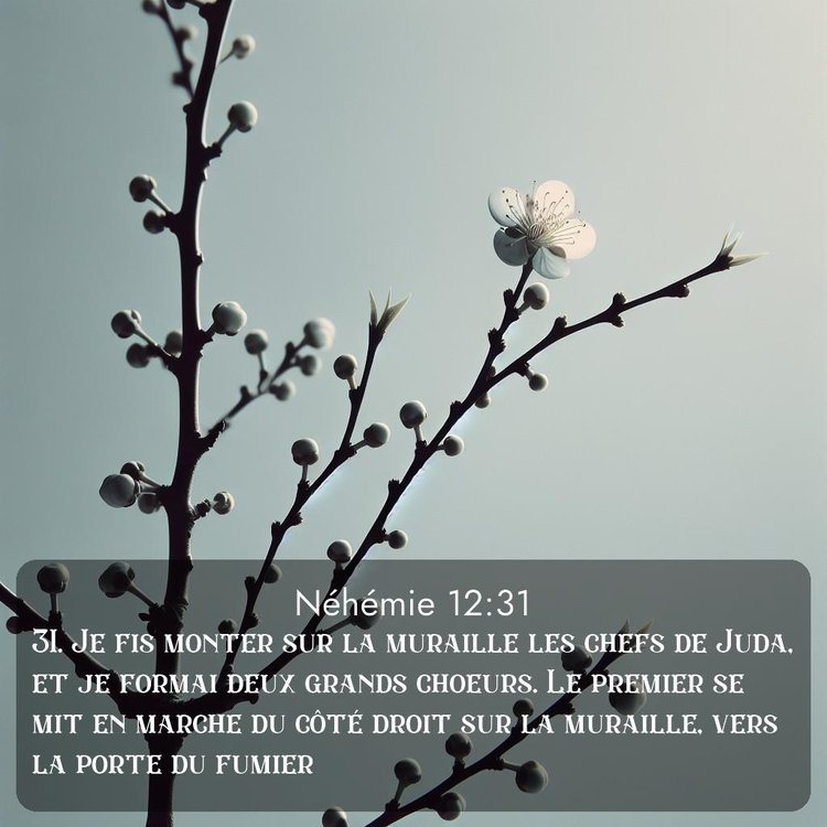 image nature avec verset biblique de la Bible