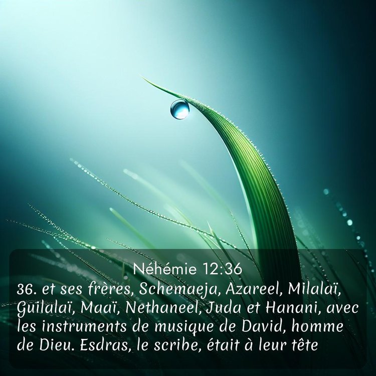 Segond Néhémie 12:36