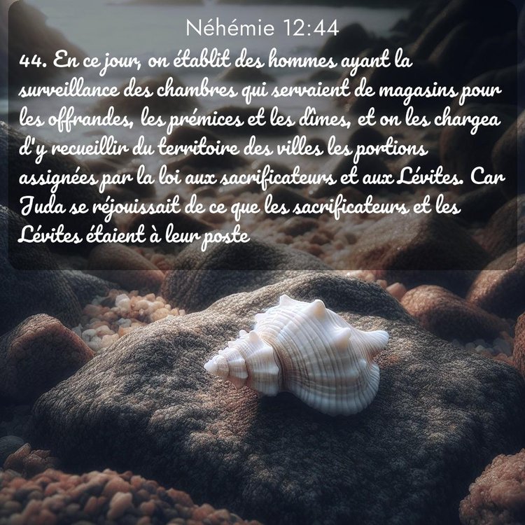 Segond Néhémie 12:44