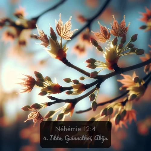 Segond Néhémie  ; image nature: image avec le verset biblique :Iddo, Guinnethoï, Abija, ;  ; 12:4