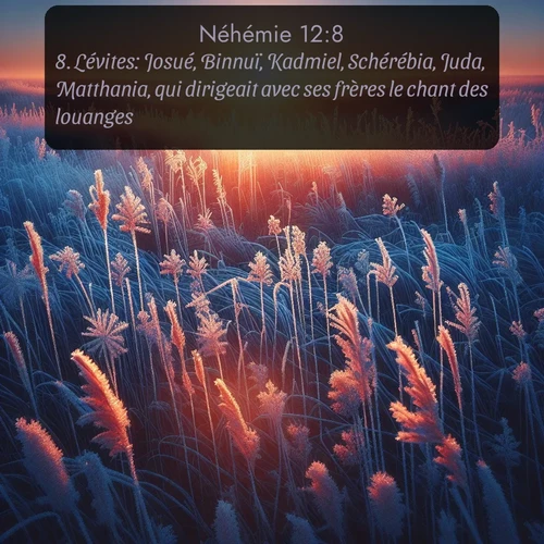 Segond Néhémie  ; image nature: image avec le verset biblique :Lévites: Josué, Binnuï, Kadmiel, Schérébia, Juda, Matthania, qui dirigeait avec ses frères le chant des louanges; ;  ; 12:8