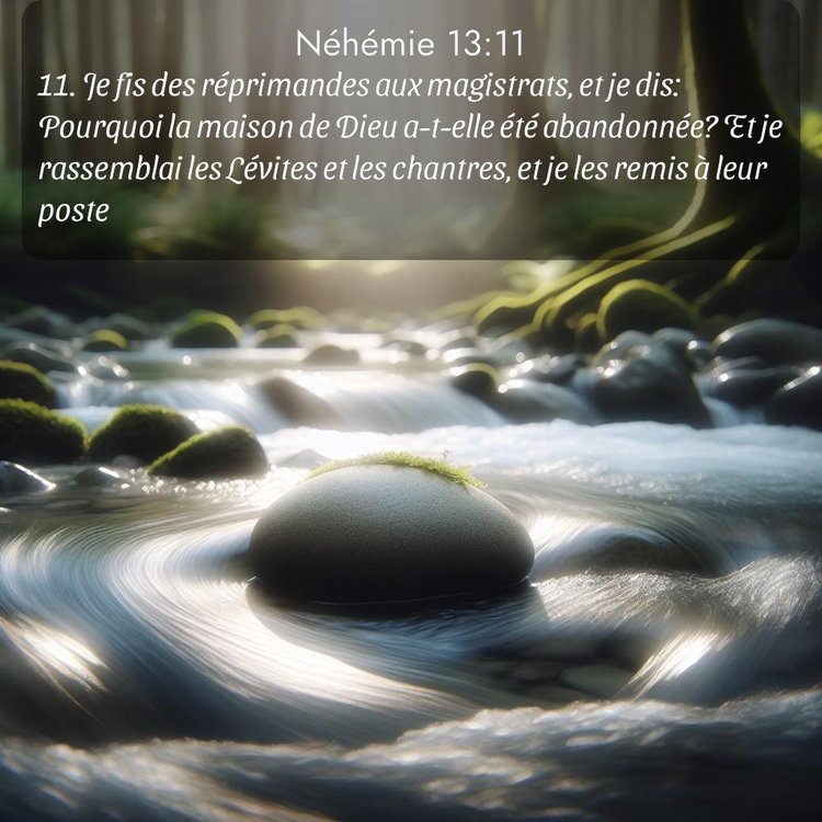 Segond Néhémie 13:11