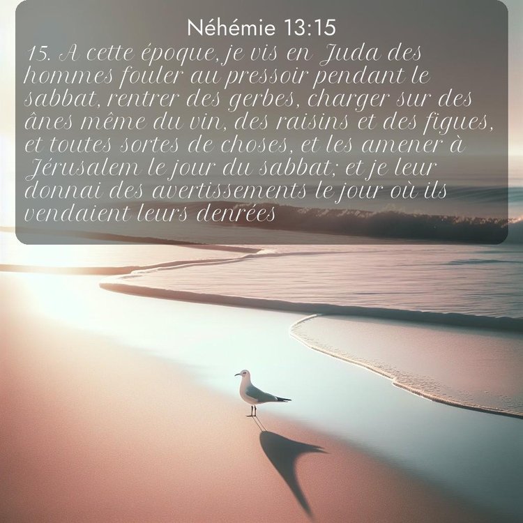 Segond Néhémie 13:15