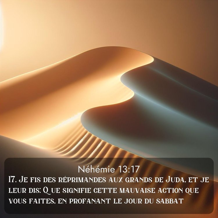 Segond Néhémie 13:17