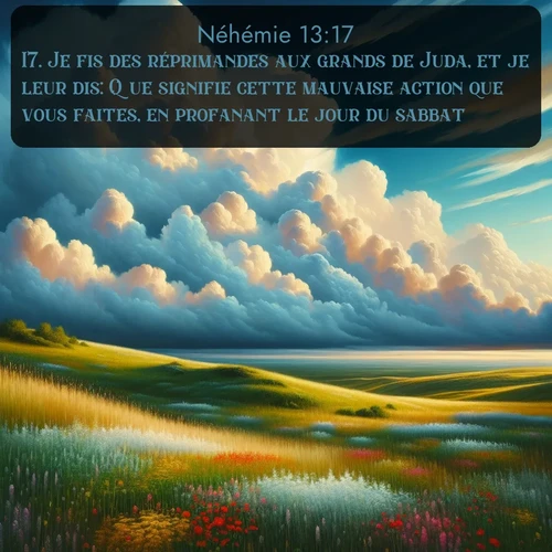 Segond Néhémie  ; image nature: image avec le verset biblique :Je fis des réprimandes aux grands de Juda, et je leur dis: Que signifie cette mauvaise action que vous faites, en profanant le jour du sabbat? ;  ; 13:17