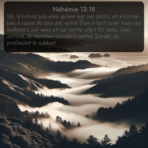 Segond Néhémie  ; image nature: image avec le verset biblique :N&#039;est-ce pas ainsi qu&#039;ont agi vos pères, et n&#039;est-ce pas à cause de cela que notre Dieu a fait venir tous ces malheurs sur nous et sur cette ville? Et vous, vous attirez de nouveau sa colère contre Israël, en profanant le sabbat! ;  ; 13:18