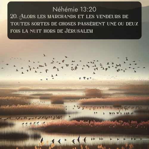 Segond Néhémie  ; image nature: image avec le verset biblique :Alors les marchands et les vendeurs de toutes sortes de choses passèrent une ou deux fois la nuit hors de Jérusalem. ;  ; 13:20