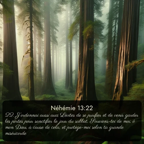 Segond Néhémie  ; image nature: image avec le verset biblique :J&#039;ordonnai aussi aux Lévites de se purifier et de venir garder les portes pour sanctifier le jour du sabbat. Souviens-toi de moi, ô mon Dieu, à cause de cela, et protège-moi selon ta grande miséricorde! ;  ; 13:22