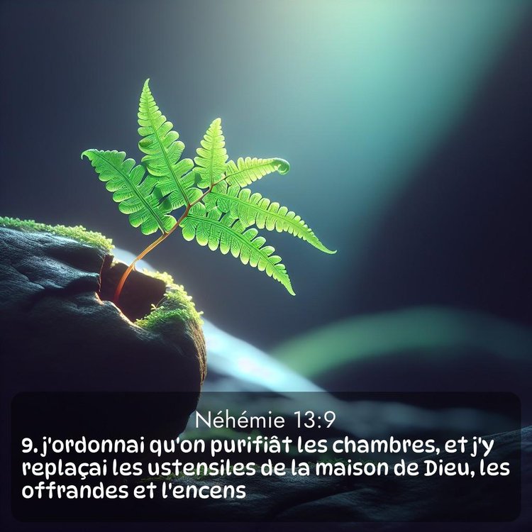 image nature avec verset biblique de la Bible