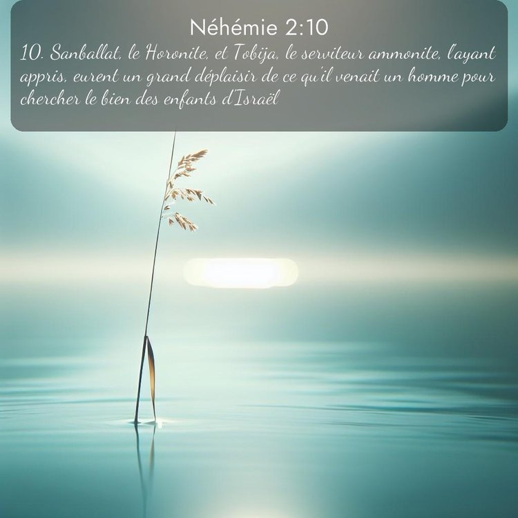 Segond Néhémie 2:10