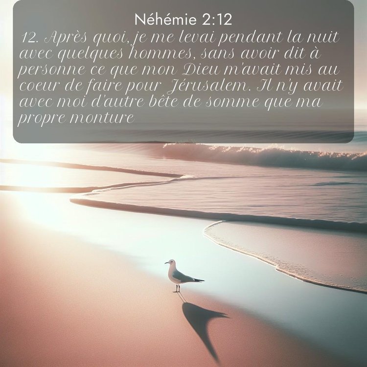 Segond Néhémie 2:12