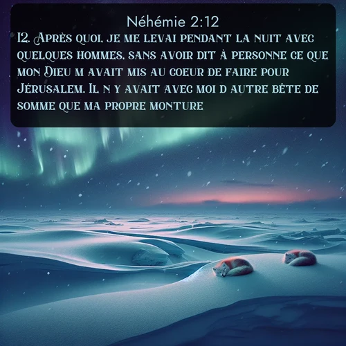 Segond Néhémie  ; image nature: image avec le verset biblique :Après quoi, je me levai pendant la nuit avec quelques hommes, sans avoir dit à personne ce que mon Dieu m&#039;avait mis au coeur de faire pour Jérusalem. Il n&#039;y avait avec moi d&#039;autre bête de somme que ma propre monture. ;  ; 2:12