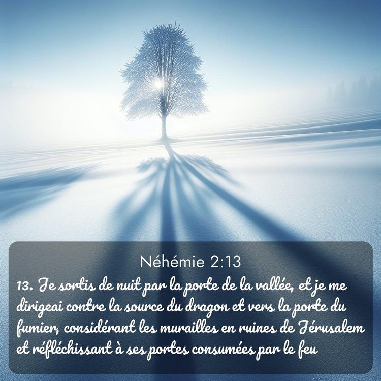 Segond Néhémie 2:13