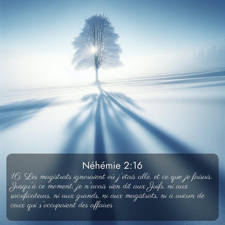 Segond Néhémie 2:16