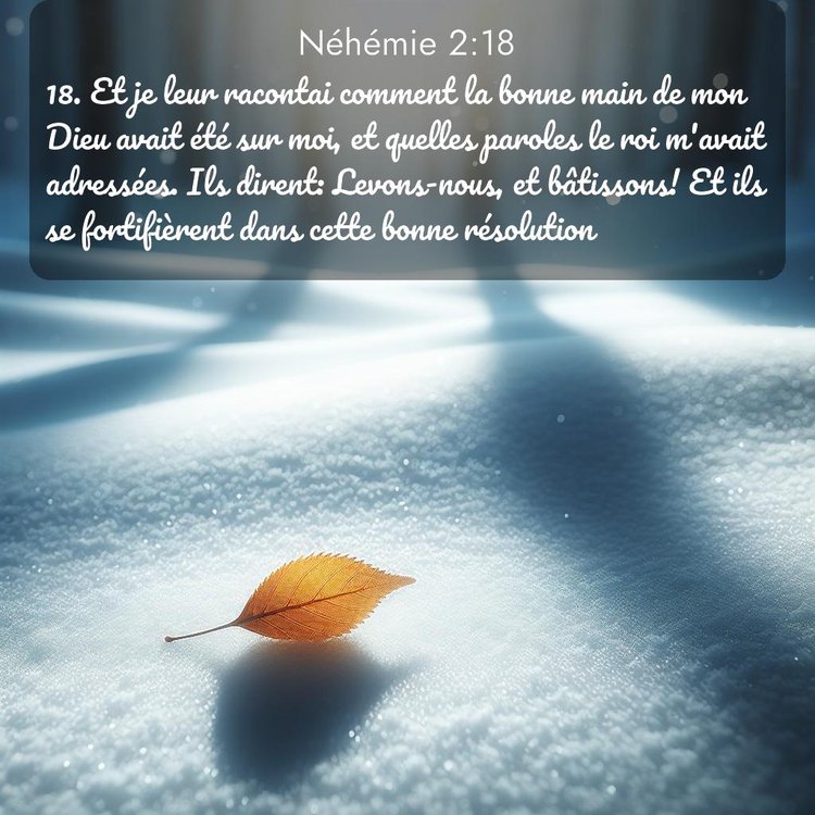 Segond Néhémie 2:18