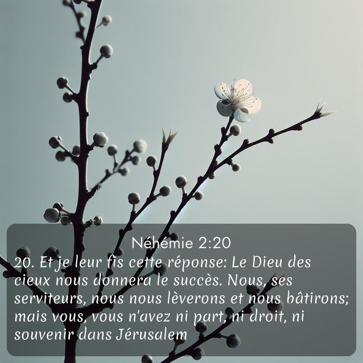 Segond Néhémie 2:20