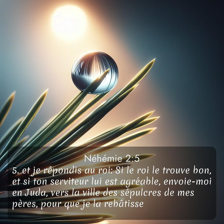 Segond Néhémie 2:5