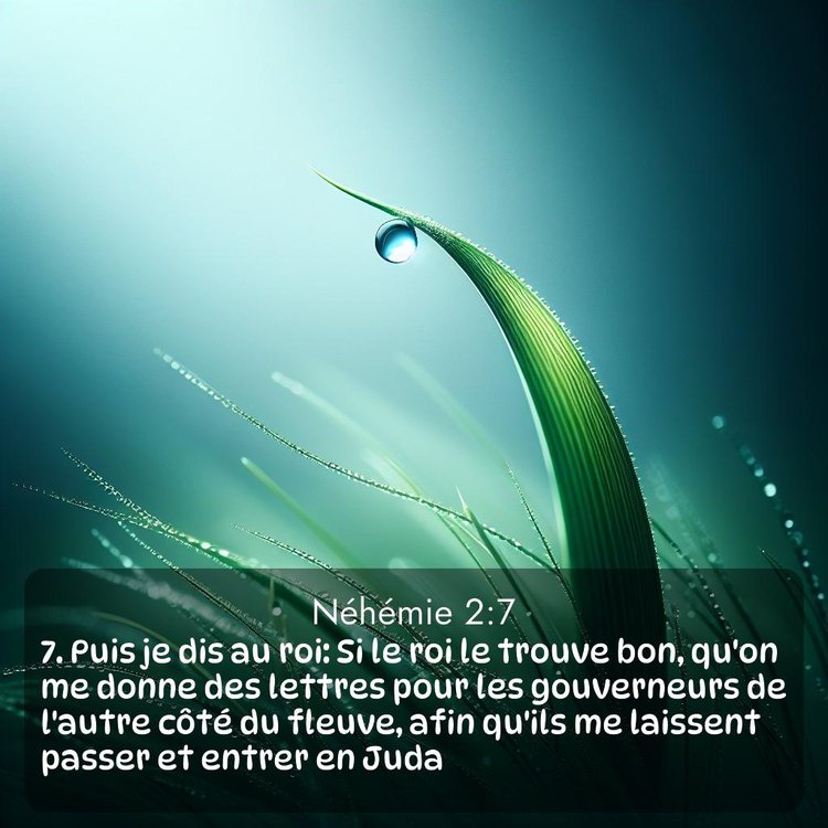 Segond Néhémie 2:7