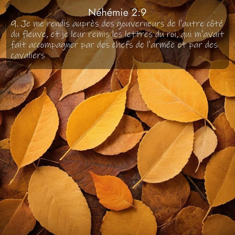 Segond Néhémie 2:9