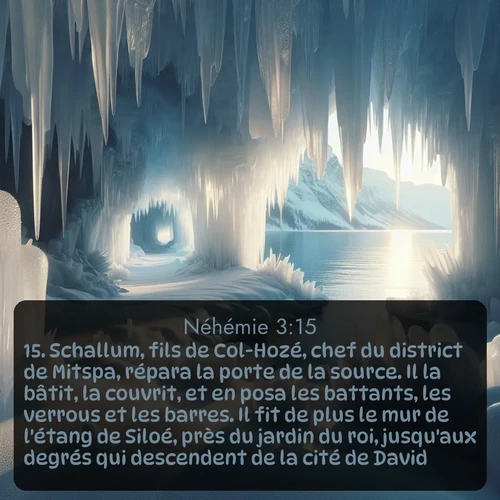 Segond Néhémie  ; image nature: image avec le verset biblique :Schallum, fils de Col-Hozé, chef du district de Mitspa, répara la porte de la source. Il la bâtit, la couvrit, et en posa les battants, les verrous et les barres. Il fit de plus le mur de l&#039;étang de Siloé, près du jardin du roi, jusqu&#039;aux degrés qui descendent de la cité de David. ;  ; 3:15