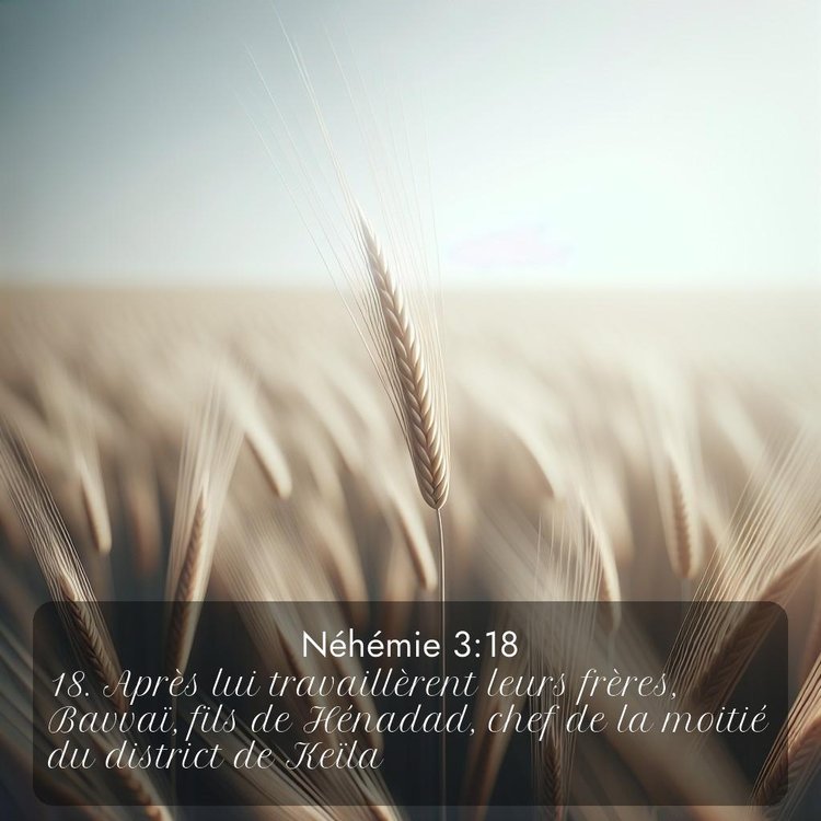 Segond Néhémie 3:18