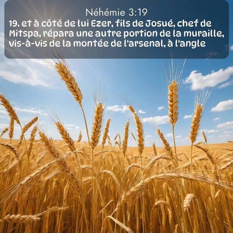 Segond Néhémie 3:19