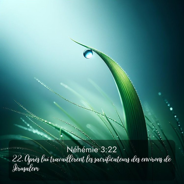 Segond Néhémie 3:22