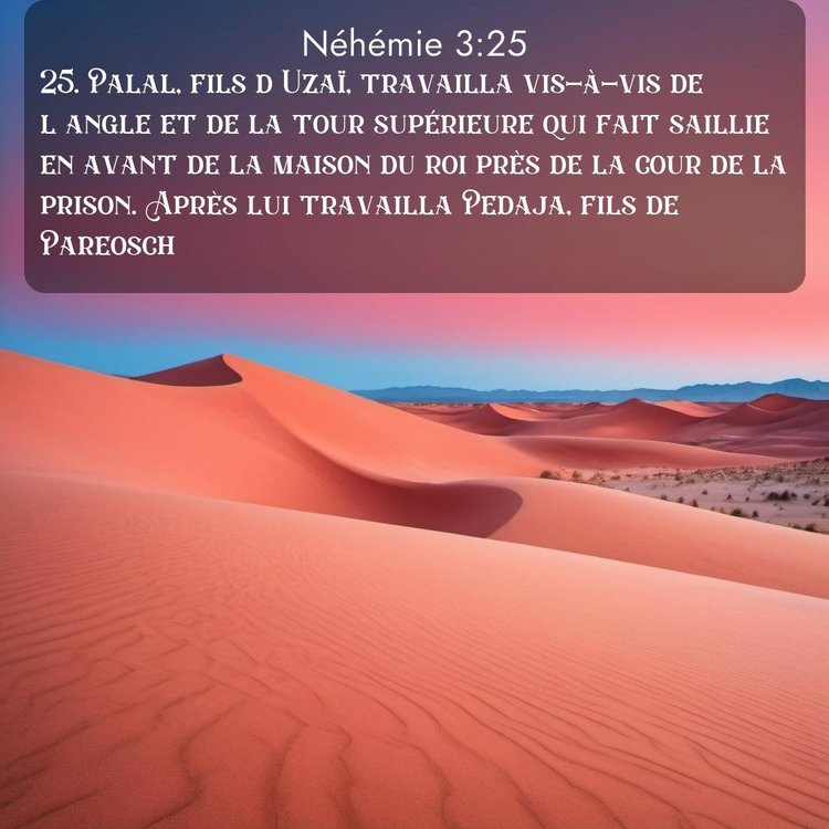 Segond Néhémie 3:25