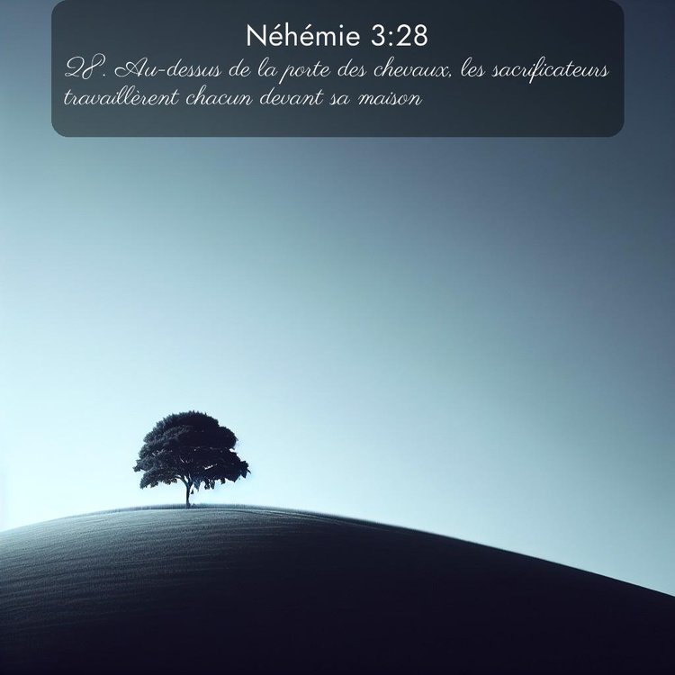 Segond Néhémie 3:28