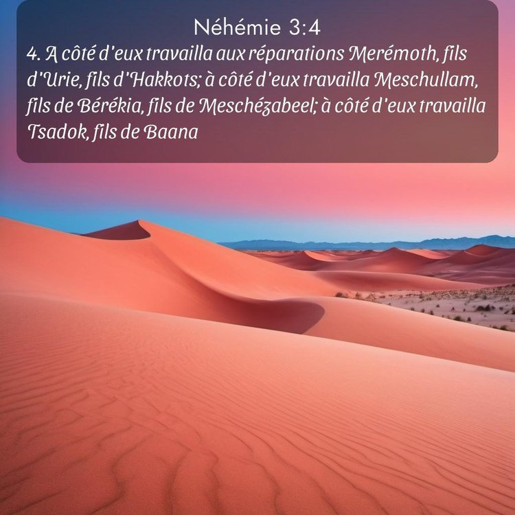 Segond Néhémie 3:4