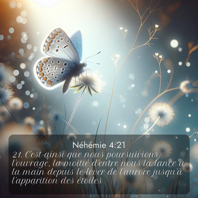 Segond Néhémie 4:21