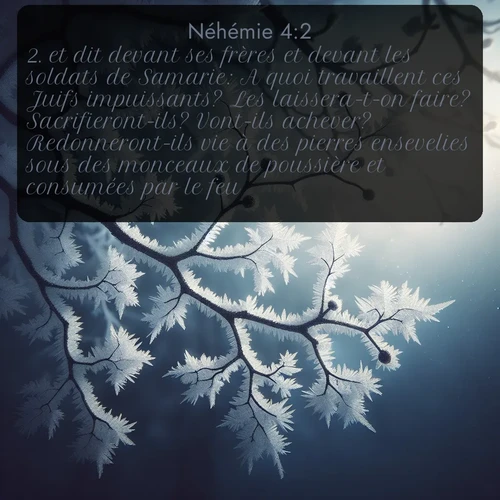 Segond Néhémie  ; image nature: image avec le verset biblique :et dit devant ses frères et devant les soldats de Samarie: A quoi travaillent ces Juifs impuissants? Les laissera-t-on faire? Sacrifieront-ils? Vont-ils achever? Redonneront-ils vie à des pierres ensevelies sous des monceaux de poussière et consumées par le feu? ;  ; 4:2