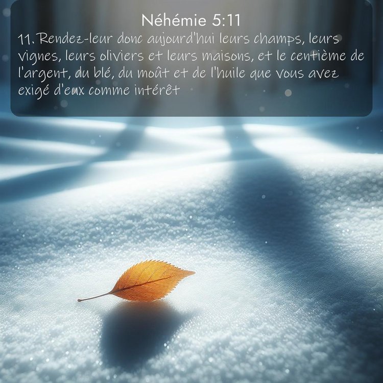 Segond Néhémie 5:11